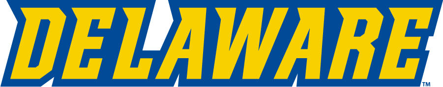 Delaware Blue Hens 2016-2018 Wordmark Logo DIY iron on transfer (heat transfer)